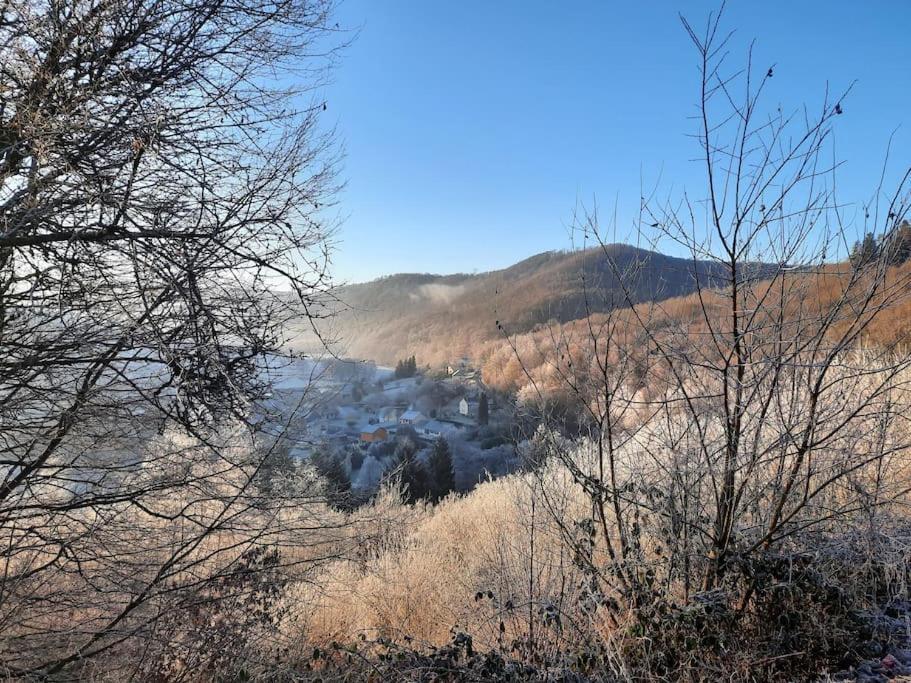 Chalet A L'Oree Du Bois Avec Parking Tournavaux Zewnętrze zdjęcie