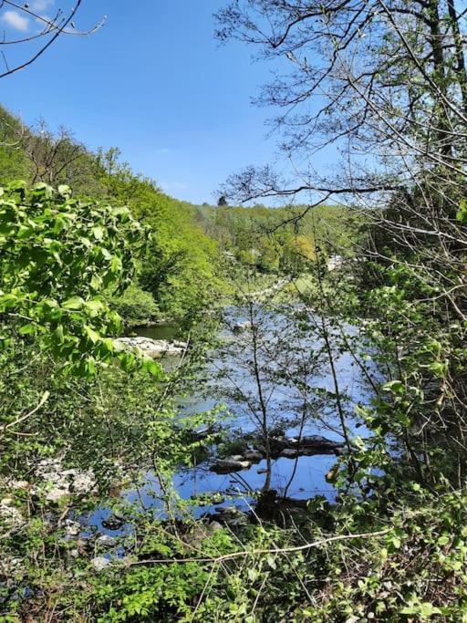 Chalet A L'Oree Du Bois Avec Parking Tournavaux Zewnętrze zdjęcie